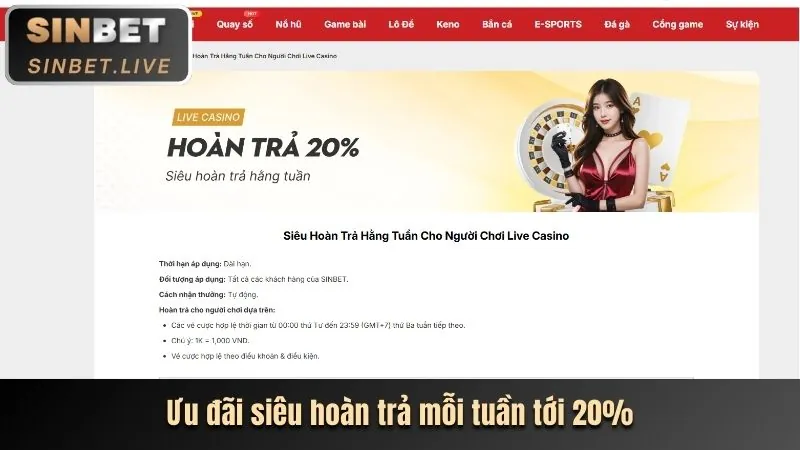 Hoàn trả casino hàng ngày f8bet nét